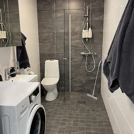 公寓 Beautiful Loft With Glazed Balcony 坦佩雷